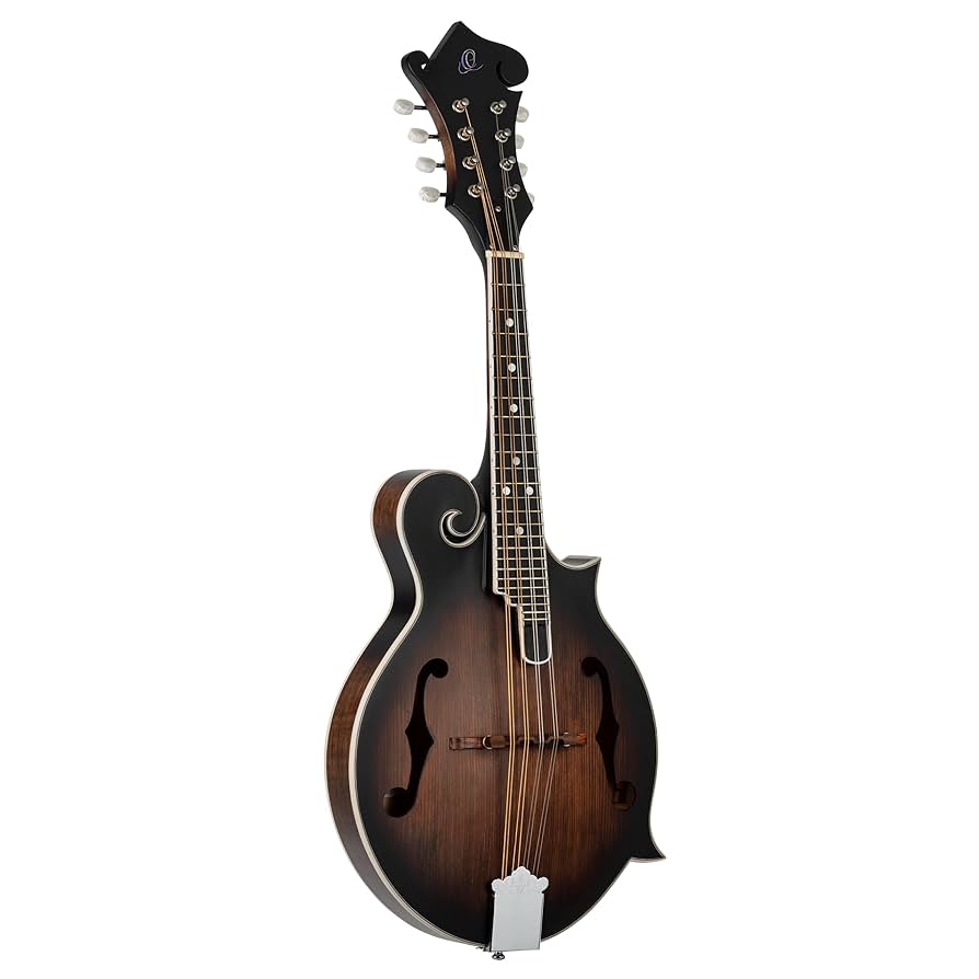 Amazon.com: Ortega Guitars, 8-String Americana Series F